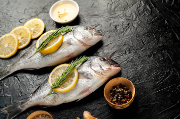 two fresh raw Dorado fish with spices and olive oil on a stone background.