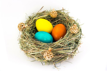 colored easter eggs in grass nest with bumps
