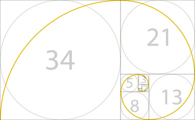 Golden ratio geometric concept. Fibonacci spiral. Vector illustration