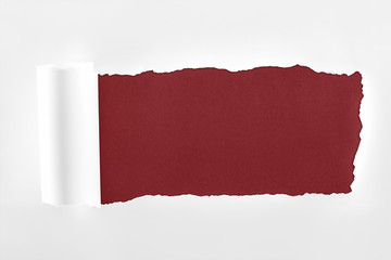 ragged textured paper with rolled edge on burgundy background