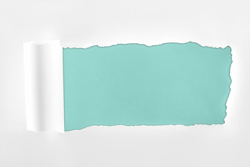 ragged textured white paper with rolled edge on light blue background