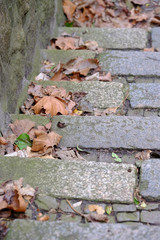 Stufen voller Laub