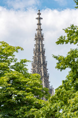 Ulm, Ulmer Münster, Kirchturm, Sommer, grün, hoch