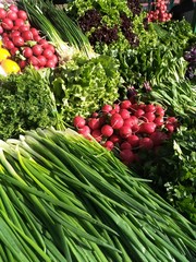 vegetable layout on the market counter: green onions, red radishes, lettuce, curly parsley, purple Basil, fresh sorrel, beet tops, bright yellow lemons and other spices