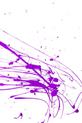 Obraz na płótnie Canvas Purple Blue Paint SPlatter on White Background