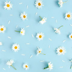 Pattern made of chamomiles, petals, leaves on blue background. Flat lay, top view 
