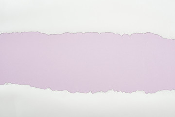 ragged white textured paper with copy space on light purple background