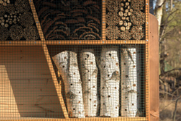  insektenunterschlupf