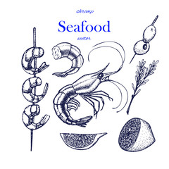 Set of shrimps. Hand drawn illustrations.Seafood concept on white background. Hand drawn boil prawn or shrimp. Background template for design. Can be use for menu, packaging.