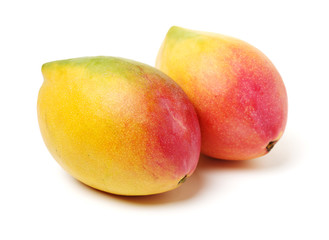 Mango on white background