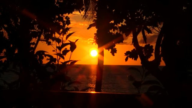 Sunset Baeume im Vordergrund