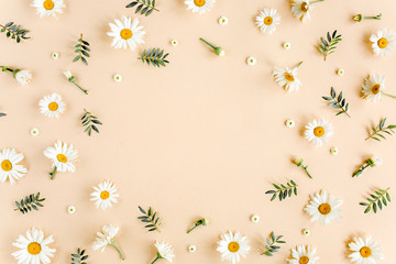 Frame made of chamomiles, petals, leaves on beige background. Flat lay, top view floral background.