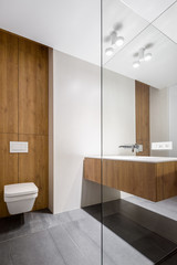 Elegant bathroom with cubic toilet