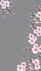 Light frame vertical of sakura flowers. Handmade background in oriental style. Pink on transparent background. Theme design fabric, invitations, packaging, cards, story.