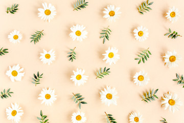 Pattern made of chamomiles, petals, leaves on beige background. Flat lay, top view floral background.