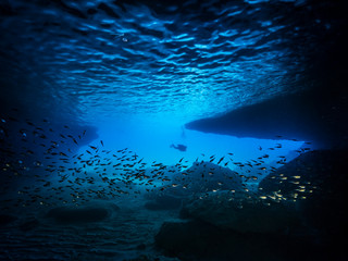 Fototapeta na wymiar Seascape of coral reef in the Caribbean Sea around Curacao at dive site Blue Room, a special cave