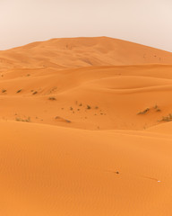 Fototapeta na wymiar Ripples and textures of the sand dunes in Sahara Desert (Merzouga), Morocco