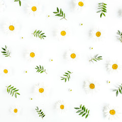 Pattern made of chamomiles, petals, leaves on white  background. Flat lay, top view floral background.