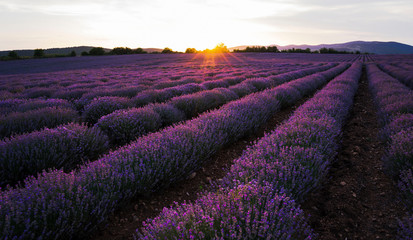 Obraz na płótnie Canvas Lavender sunset magnificent view