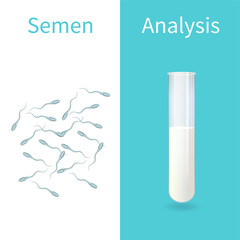 Semen Analysis. Spermogram. Test tube, sperm. Vector medical illustration. White background.