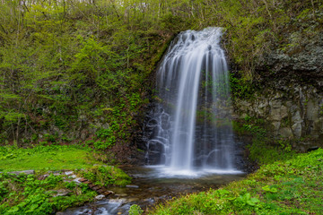 Obraz premium The fresh green of Akita Prefecture Oyu