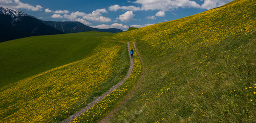 Dolomites field