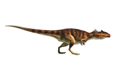 Giganotosaurus, one of the largest known terrestrial carnivores, was a carcharodontosaurid theropod dinosaur. Here is one in profile on a white background.  This one is brown. 3D Rendering. 