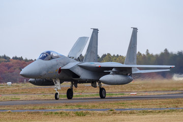 Fototapeta na wymiar jet fighter on ground