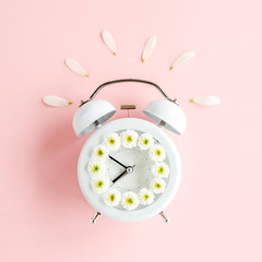 Composition-summer time from clock and chamomile flowers on pink background. Flat lay, top view 