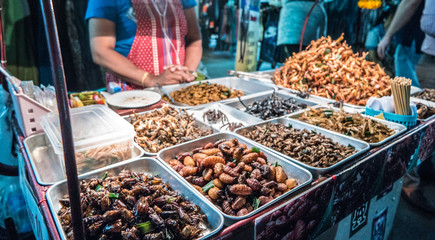 Fried insects on the streets of Bangkok, Thailand - 257881935