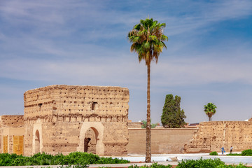 Obraz premium Amazing view of the old castle with a palm inside