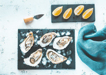 Raw oysters on the slate board