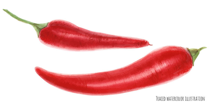 watercolor illustration of cayenne pepper