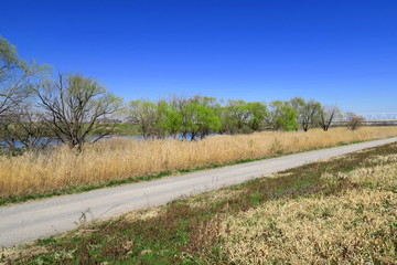 春の江戸川河川敷風景