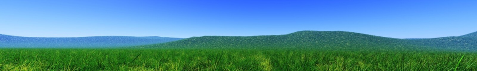Green grass and blue sky, panorama