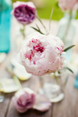 flowers in vintage bottles