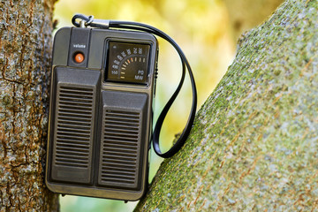 Old portable radio on the tree © deil82