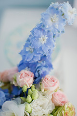 blue and pink flowers