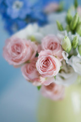 blue and pink flowers