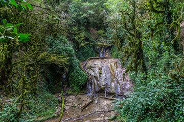 Fascinating journey through the valley of waterfalls in the boxwood forest, Krasnodar region, Russia