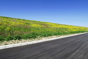 黒い道と菜の花咲く土手風景
