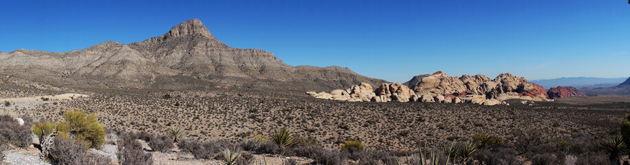 Paysage Desert Nevada