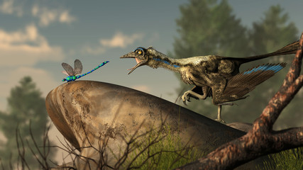 An archaeopteryx, a Jurassic era theropod dinosaur that looked much like a bird, lunges at a dragonfly at the end of a smooth river stone. 3D Rendering 