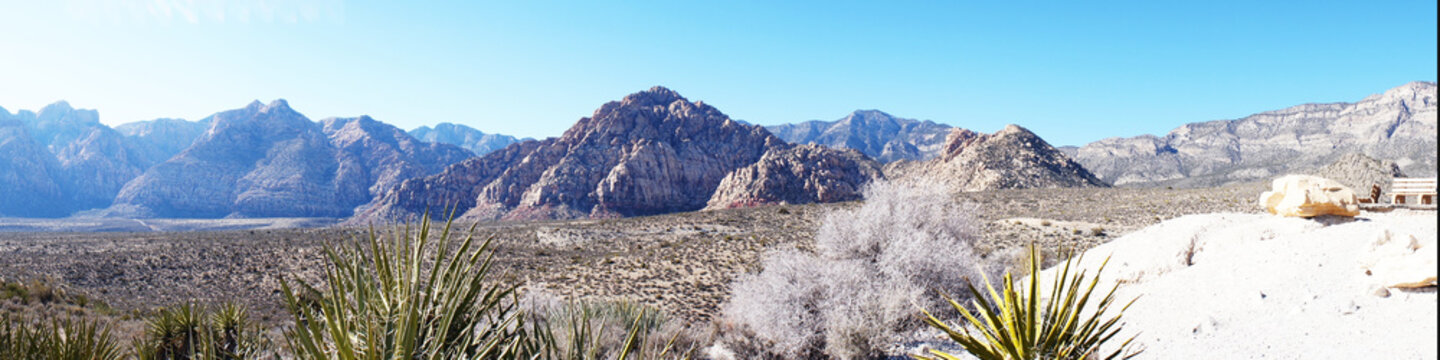 Paysage Desert Nevada