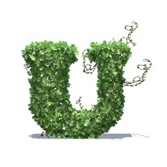 Letter U created of green ivy leaves with shadow on the floor - isolated on a white background