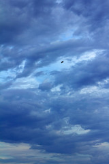 clouds and birds in the sky
