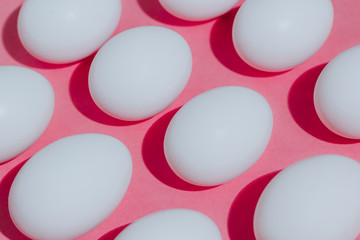 White chicken eggs  with empty space, on a pink background. Abstract image