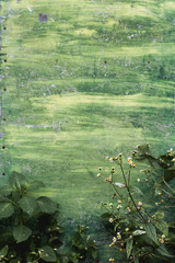 Wild vegetation and green metallic wall