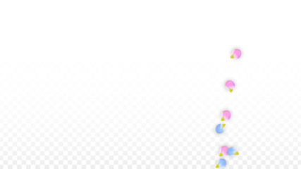 Vector Realistic Colorful Petals Falling on Transparent Background.  Spring Romantic Flowers Illustration. Flying Petals. Sakura Spa Design. Blossom Confetti. Design Elements for Wedding Decoration.