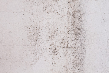 Old white wall